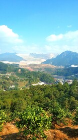 上杭紫金山