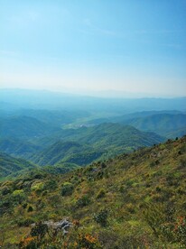 湖洋镇龙嶂山