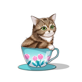 茶杯猫            
