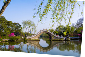 二十四桥春景 
