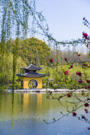 瘦西湖美景钓鱼台风光
