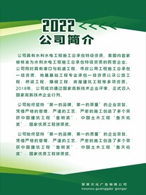 简约制度背景