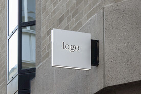 logo样机