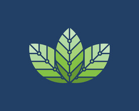 绿叶子图标图片