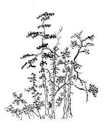 手绘冬季树林素材