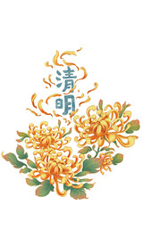 清明节菊花祭奠花卉节令节日清明