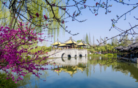 瘦西湖美景