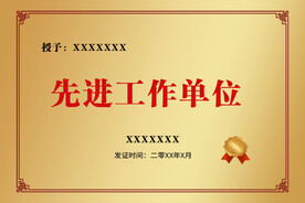铜牌  钛金牌 