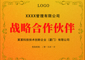 铜牌  钛金牌 