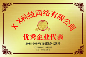 铜牌  钛金牌 