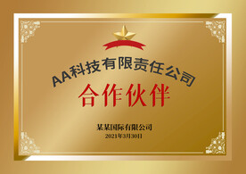 铜牌  钛金牌