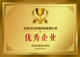 铜牌  钛金牌 