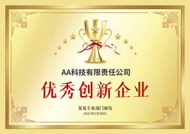 铜牌  钛金牌 