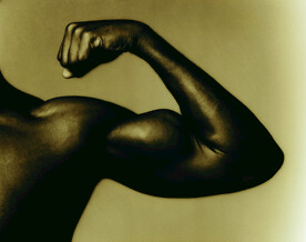 健身  肱二头肌