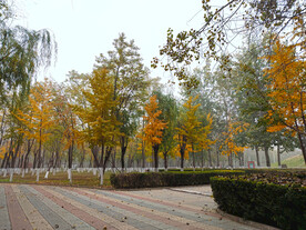 北京得深秋公园