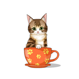 茶杯猫            
