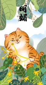 萌主猫            