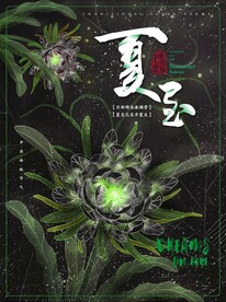 简约透明质感 夏至节气海报