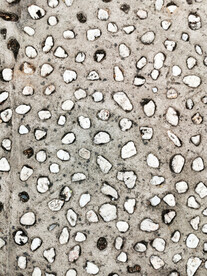 鹅卵石路面底纹背景