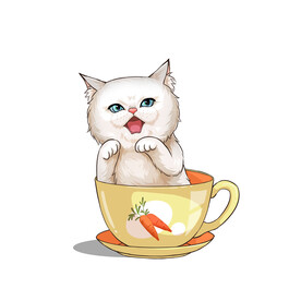 茶杯猫            