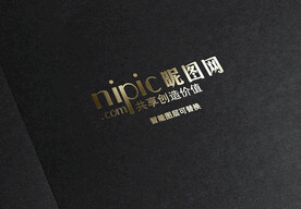 黑金烫金logo样机