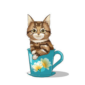 茶杯猫            