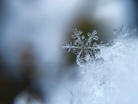 雪花微距摄影