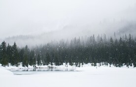 冬日雪景