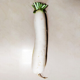 白萝卜