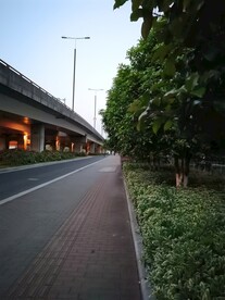 苏州高架傍晚风景