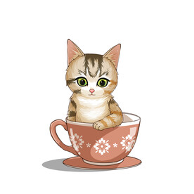 茶杯猫            