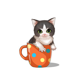 茶杯猫            