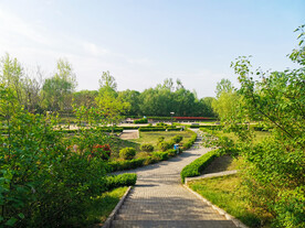 春天的生态公园景观