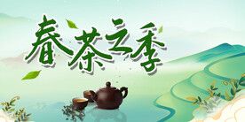 春茶之季
