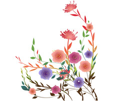 手绘花草插画