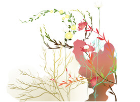 手绘花草插画