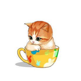 茶杯猫            