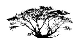 树