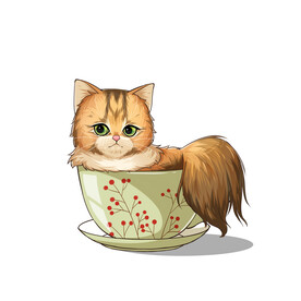 茶杯猫            