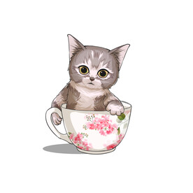 茶杯猫            
