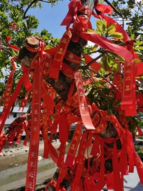 祈愿树