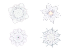 网状花纹