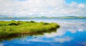 草原湿地摄影