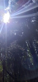 阳光
