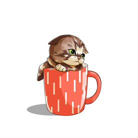 茶杯猫            