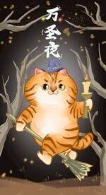 萌主猫            