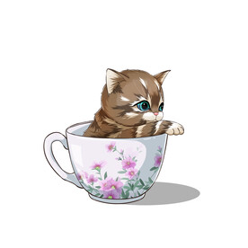茶杯猫            