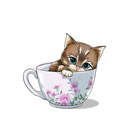 茶杯猫            