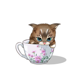 茶杯猫            