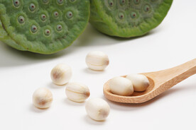 莲蓬和莲子图片